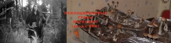 твердый Балахна
